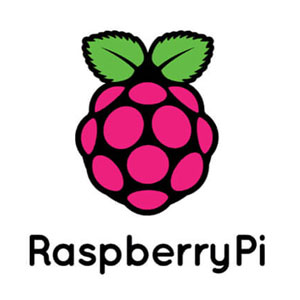 تصویر برند رزبری پای (Raspberry Pi)